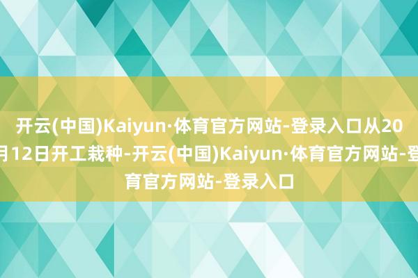 开云(中国)Kaiyun·体育官方网站-登录入口从2024年6月12日开工栽种-开云(中国)Kaiyun·体育官方网站-登录入口