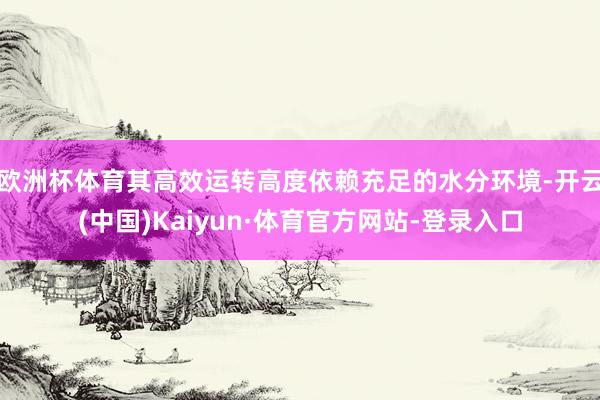 欧洲杯体育其高效运转高度依赖充足的水分环境-开云(中国)Kaiyun·体育官方网站-登录入口