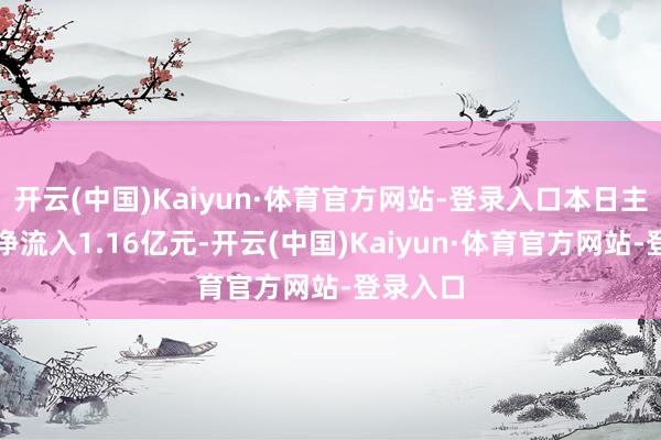 开云(中国)Kaiyun·体育官方网站-登录入口本日主力资金净流入1.16亿元-开云(中国)Kaiyun·体育官方网站-登录入口