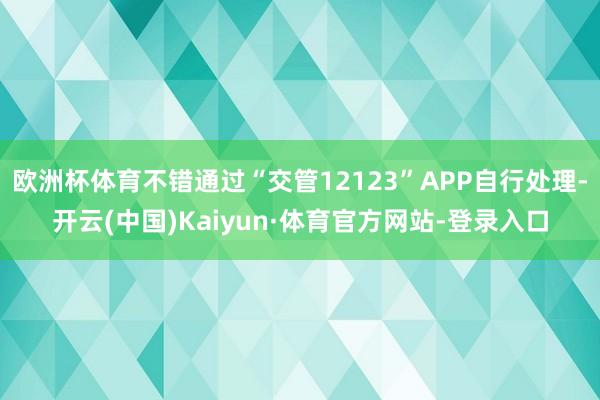 欧洲杯体育不错通过“交管12123”APP自行处理-开云(中国)Kaiyun·体育官方网站-登录入口